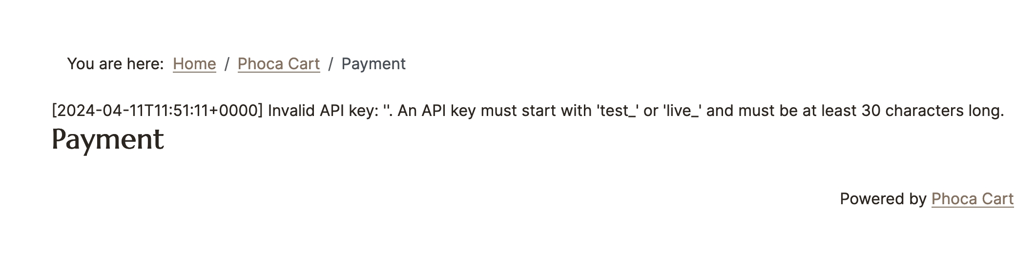 Invalid API key