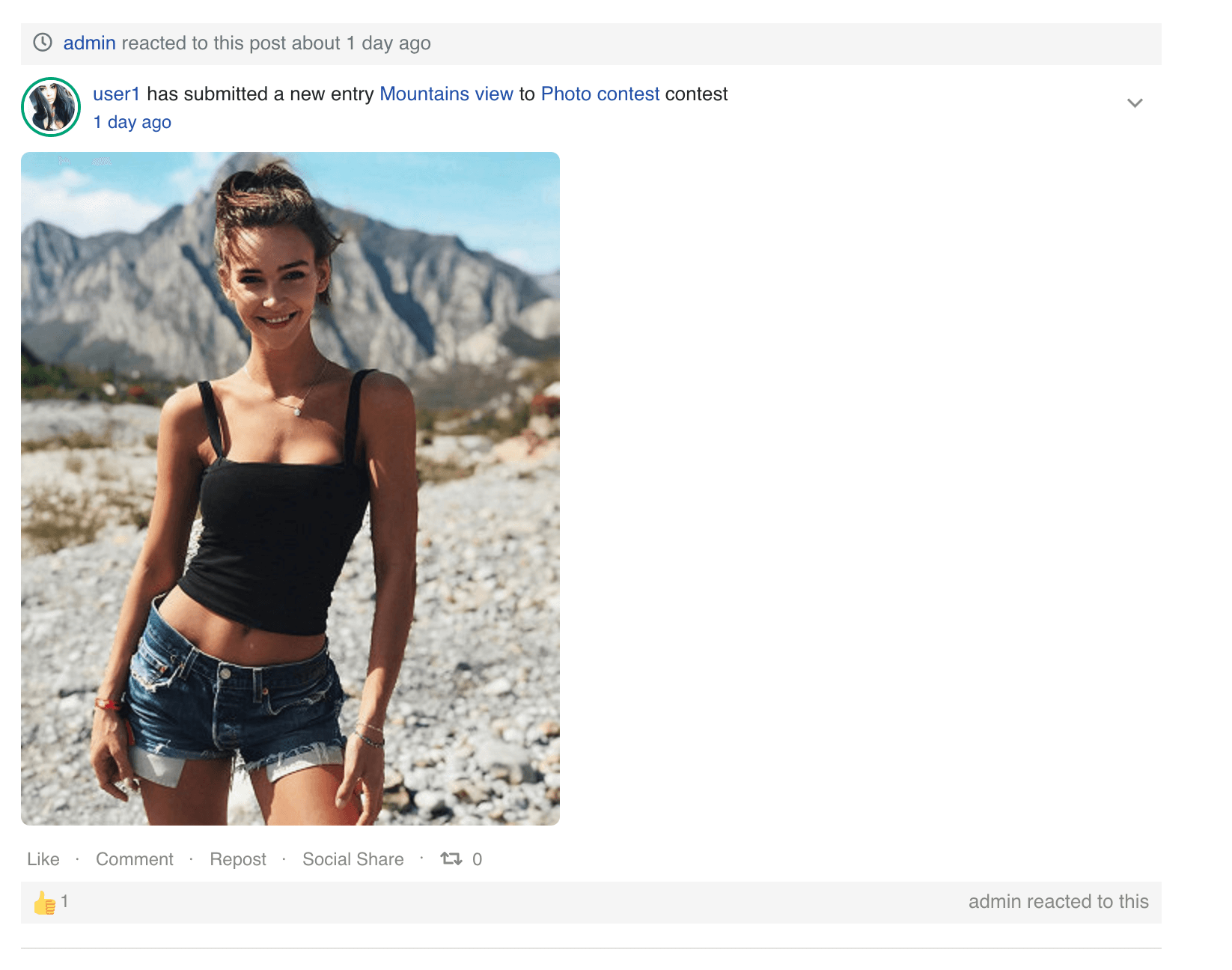 User's actions in the timeline. Small image taken from NorrCompetition